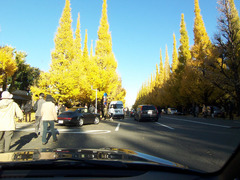 100_0307m.jpg